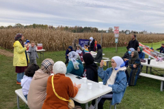 cornmaze16