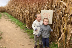 cornmaze4