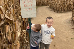 cornmaze7