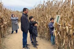 cornmaze9